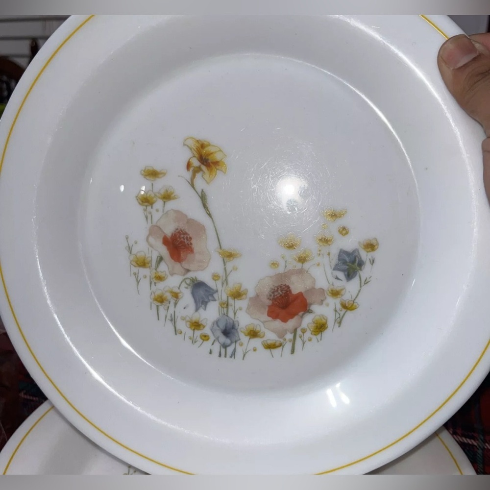 Set of 7- Arcopal ARC Provincial Milk Glass 10” Dinner Plates. France.